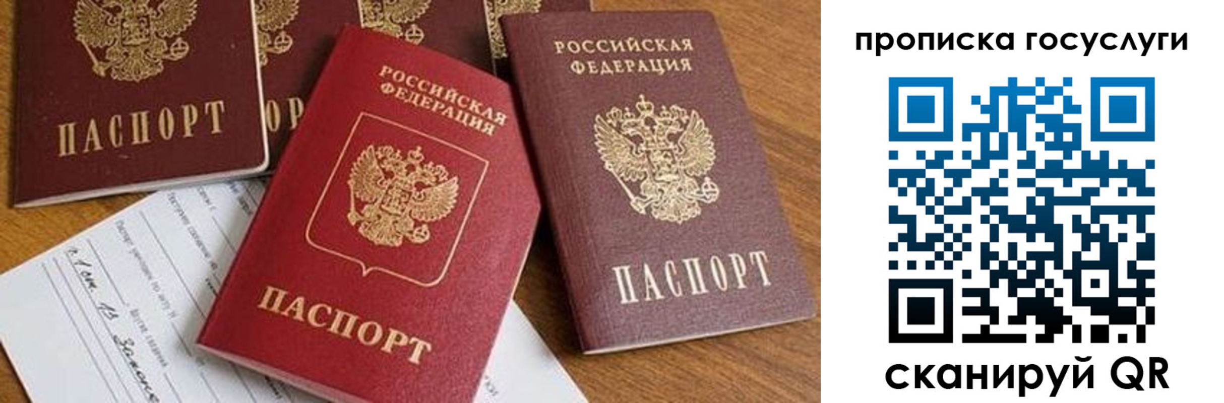 прописка в Кузнецке